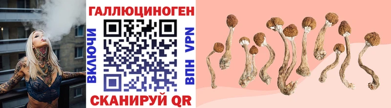 Псилоцибиновые грибы Psilocybe  blacksprut ONION  Суоярви 